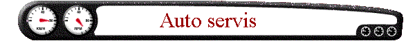 Auto servis
