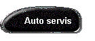 Auto servis