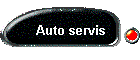 Auto servis